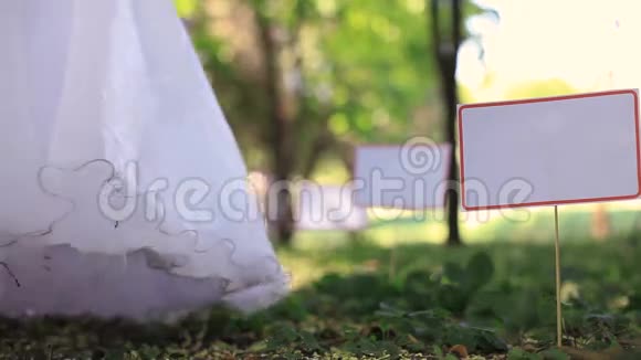 公园里的婚礼视频的预览图