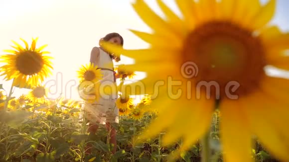 可爱的女孩在黄色的花园向日葵阳光在夏天美丽的日落小女孩向日葵慢慢慢慢视频的预览图