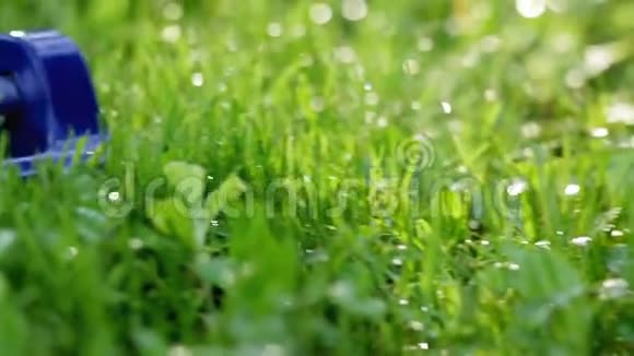 草地花园草坪洒水系统在花园的绿色草地上撒些水视频的预览图