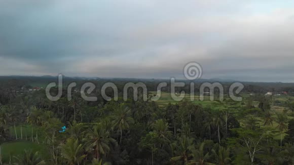 日落时雨林丛林景观的4K空中飞行视频4K无人机镜头没有编辑巴厘岛视频的预览图