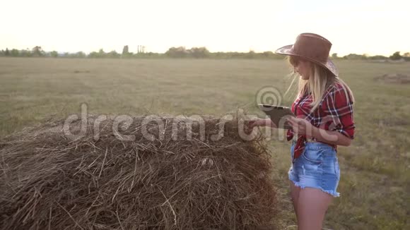 智慧农业慢动作视频概念女孩农学家在干草堆里拿着平板电脑触摸板电脑正在学习视频的预览图