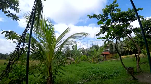 印尼水稻梯田景观视频的预览图