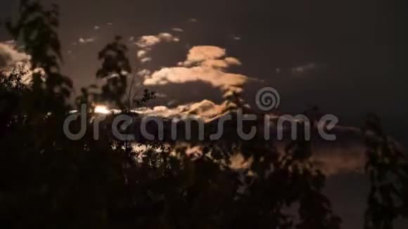 满月通过树和乌云在夜空中移动时间推移视频的预览图
