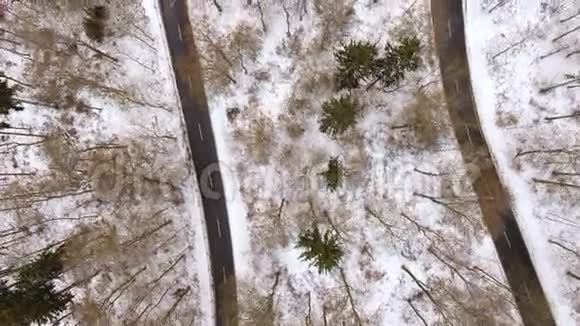 穿过冬天的森林视频的预览图