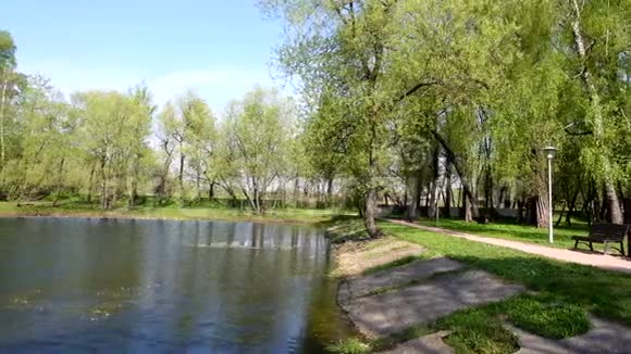 公园里美丽的湖景和树木视频的预览图