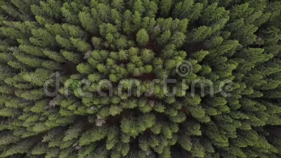 高空俯瞰山林视频的预览图