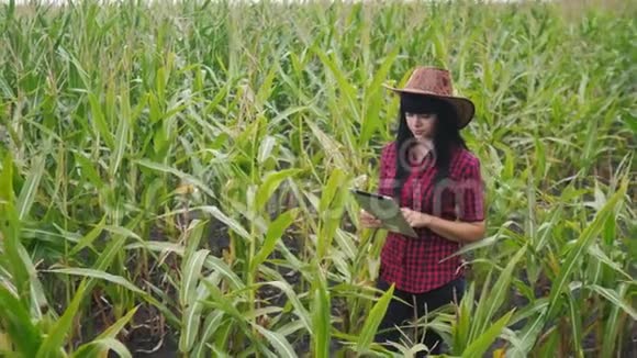 智慧生态农业养殖理念农民女孩植物研究员一个用途触摸平板电脑的生活方式同时检查视频的预览图