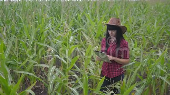 智慧生态农业养殖理念农民女孩植物研究员使用触摸平板电脑同时检查生活方式视频的预览图