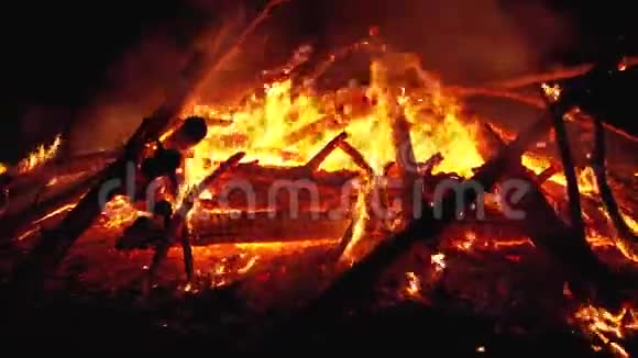 森林里的大篝火在夜晚燃烧视频的预览图