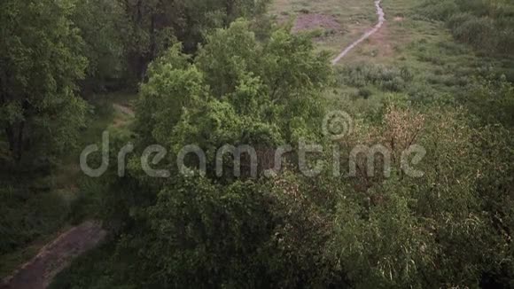 夏天下雪下大雨背景是绿树草小径视频的预览图