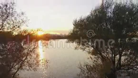 日落时飞过河流视频的预览图