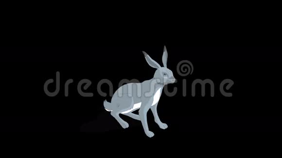 灰兔坐着动画与阿尔法频道视频的预览图