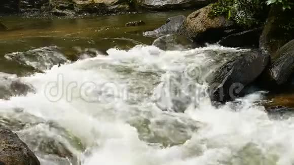 水流在森林的岩石上视频的预览图