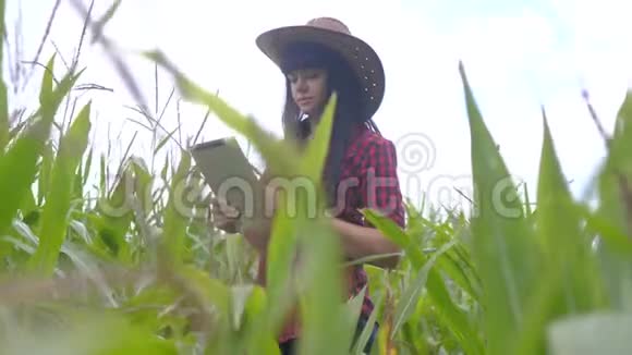 智慧生态农业养殖理念农民女孩植物研究员在检查时使用触摸平板电脑视频的预览图