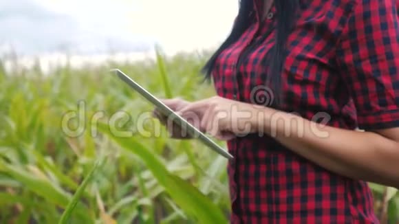 智慧生活方式生态农业农耕理念农民女孩植物研究员在检查时使用和触摸平板电脑视频的预览图
