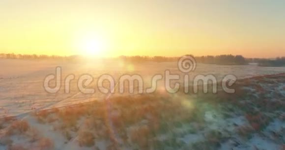 无人驾驶飞机观看寒冷的冬季景观北极的田野覆盖着霜雪的树木和清晨的阳光视频的预览图