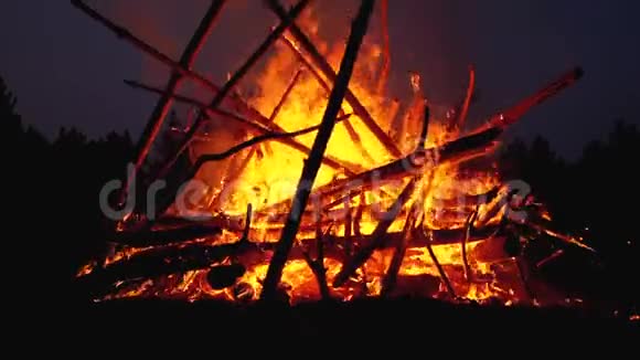 树枝的大篝火在森林里夜间燃烧慢动作视频的预览图