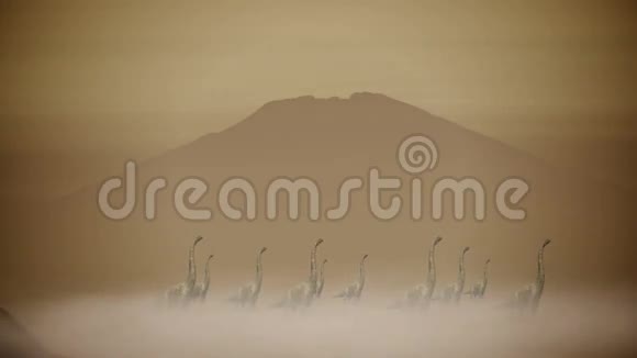 恐龙在沙漠中穿过沙尘暴视频的预览图