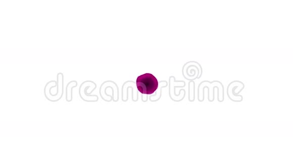 白色背景上的紫色液体龙卷风漂亮的彩色油漆是旋转的液体孤立透明涡旋视频的预览图