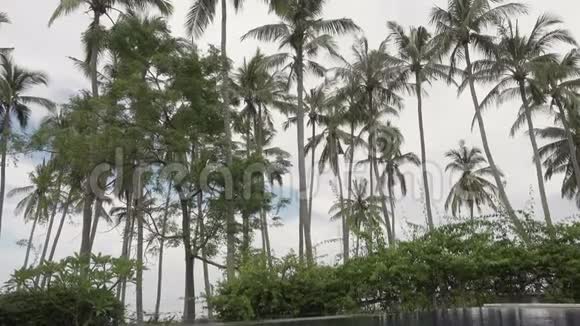 印度尼西亚巴厘岛度假胜地棕榈树海洋和热带游泳池的全景视频的预览图