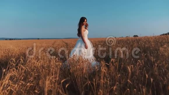 日落时麦田里美丽的新娘视频的预览图