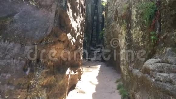 在岩石和树木之间有石阶的小径波希米亚的捷克乐园视频的预览图