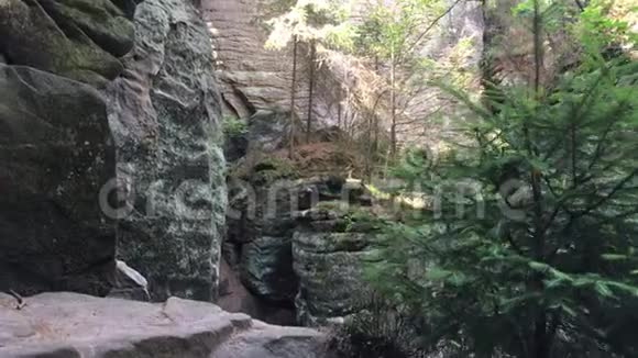 岩石和树木之间有石头楼梯的小径捷克波希米亚天堂视频的预览图