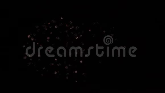 夜空中五彩缤纷的烟花视频的预览图