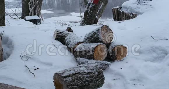 冬季景观降雪视频的预览图