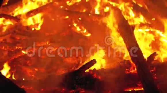 大篝火的原木燃烧在森林的夜晚慢动作视频的预览图