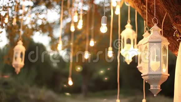 装饰古董爱迪生风格的灯丝灯泡挂在树林里玻璃灯视频的预览图