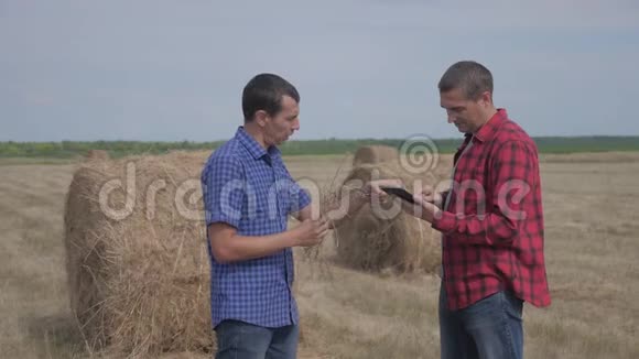 团队农业智慧农业理念两个男人的农民生活方式工人在数字领域研究干草堆视频的预览图