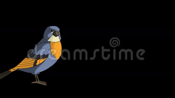 蓝鸟跳跃着停下来带有阿尔法频道的动画画面视频的预览图