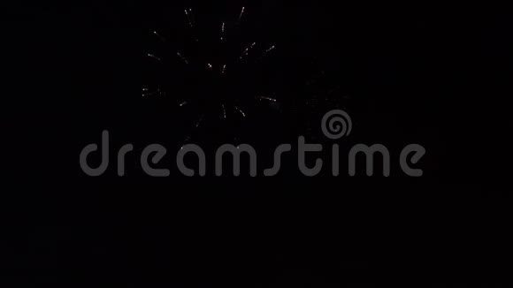 夜空中五彩缤纷的烟花视频的预览图