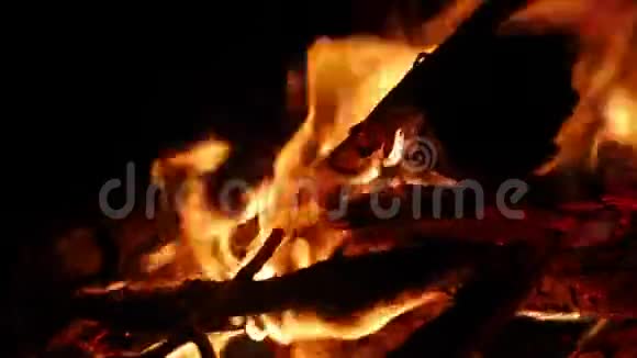 营火火焰视频的预览图