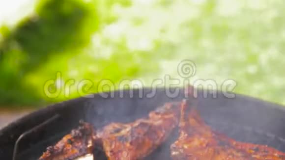 户外烧烤烧烤烤肉视频的预览图
