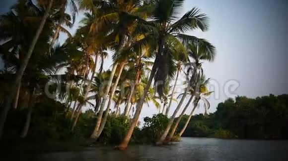印度的船和棕榈树回水视频的预览图