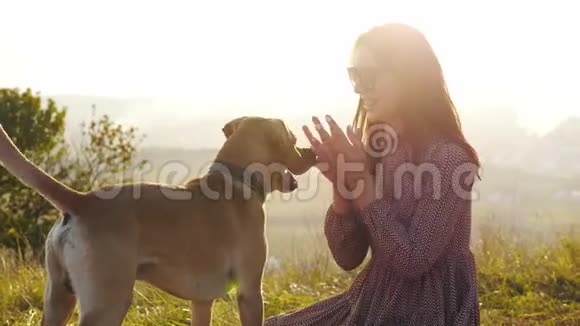 可爱的年轻女人在令人惊叹的日落中与狗在大自然中玩耍视频的预览图