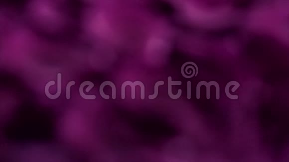 抽象紫色花背景水中花瓣视频的预览图