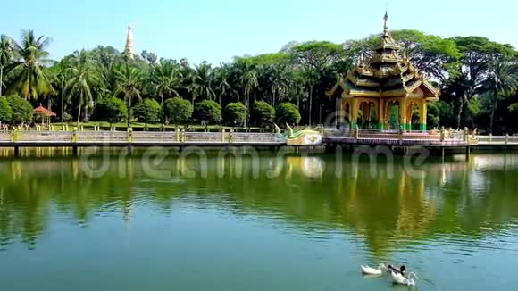 缅甸仰光的丁加拉花园视频的预览图