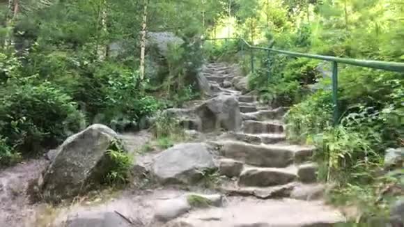岩石和树木之间有石阶的小径波西米亚的捷克天堂视频的预览图