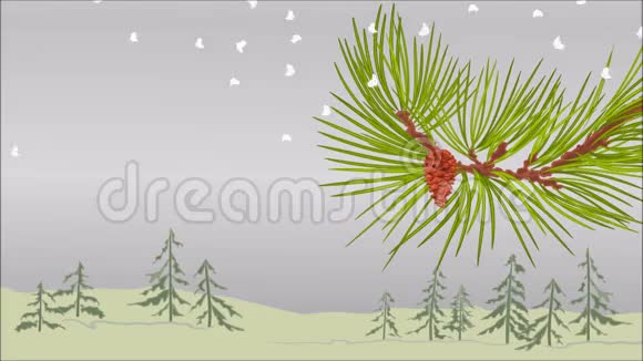 冬季松枝与雪和松果圣诞主题视频视频的预览图