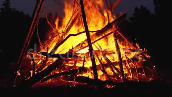 树枝在森林里的夜晚燃烧的大篝火慢动作视频的预览图