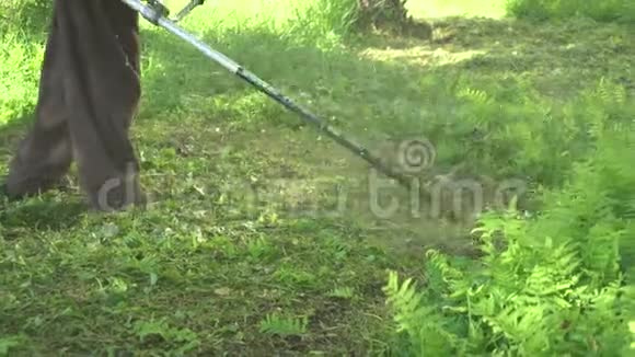 园丁用割草机割草草坪护理大自然视频的预览图