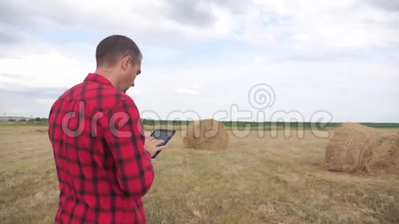智慧农业理念一个农夫在一个数字生活平板电脑上的田野里研究干草堆慢动作视频的预览图