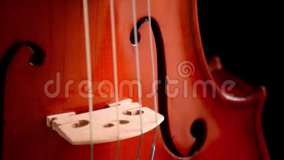 黑色背景的小提琴或中提琴视频的预览图