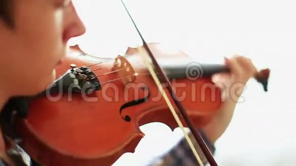 小提琴家视频的预览图