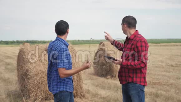 团队农业智慧农业理念两名男子农民在数字平板电脑上研究干草堆视频的预览图