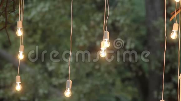 夜晚的灯光装饰花园神奇的森林灯泡和辉光挂在森林里的树上视频的预览图