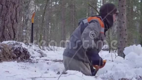 在森林里挖土缝的生态学家视频的预览图